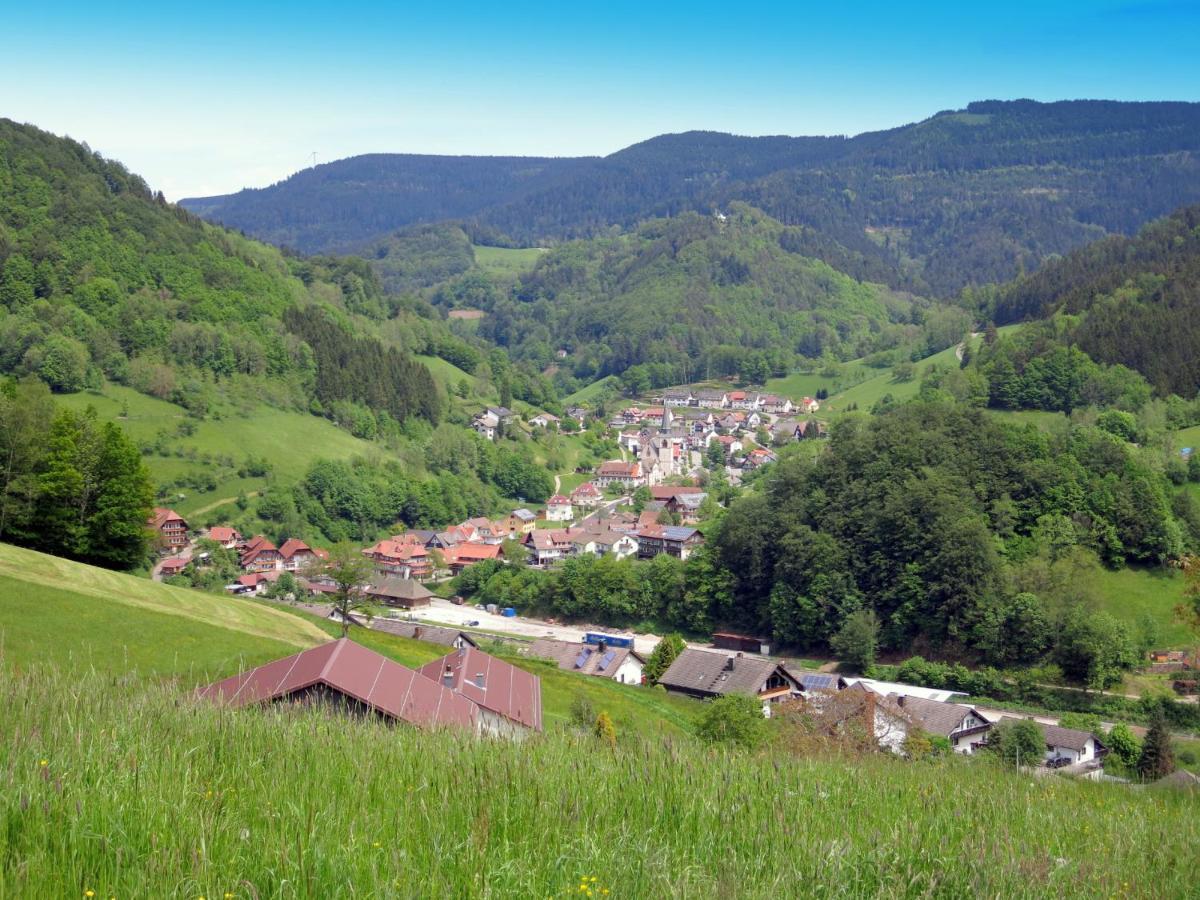 Апартаменти Am Doettelbach Бад-Петерсталь-Ґрісбах Екстер'єр фото