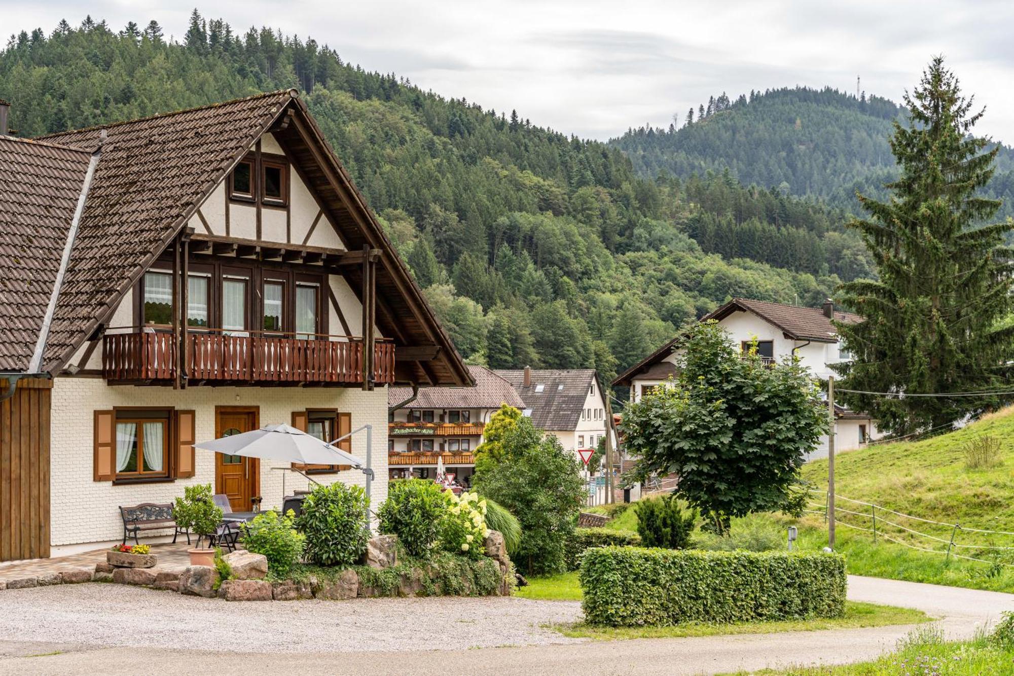 Апартаменти Am Doettelbach Бад-Петерсталь-Ґрісбах Екстер'єр фото